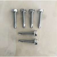 Stainless Steel Hex Washer Head Self Drilling Screw Roofing Screws